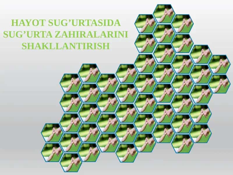 Hayot sug’urtasida sug’urta zahiralarini shakllantirish. 1