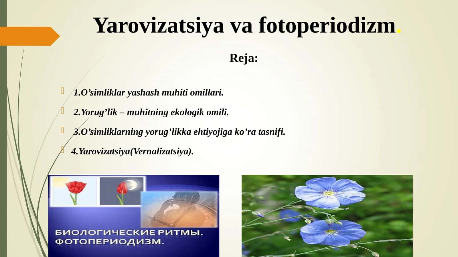 Yarovizatsiya va fotoperiodizm 1