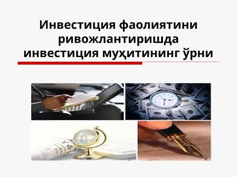 Инвестиция куриш 1