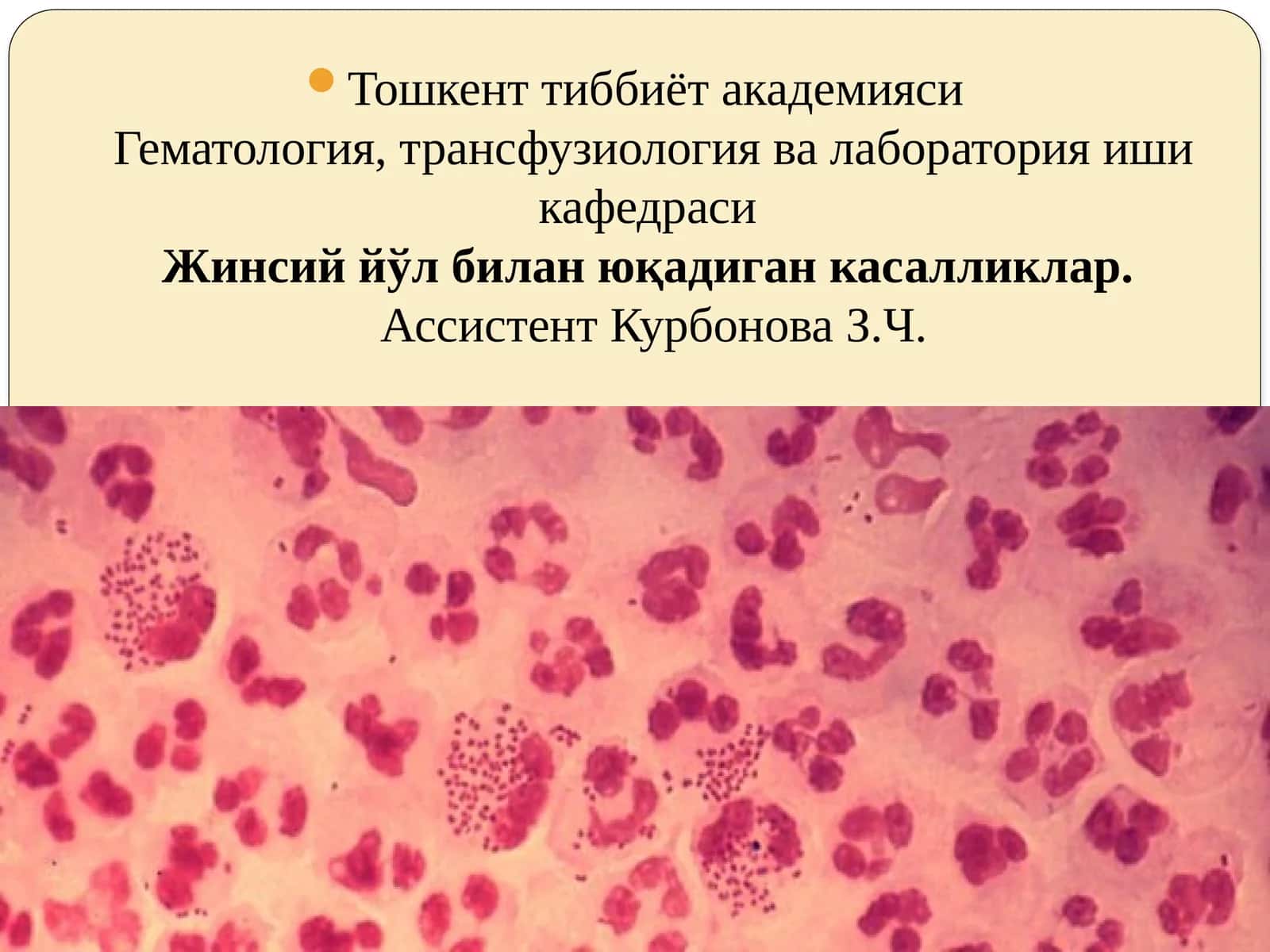 Жинсий ўлбилан юқадиган касалликлар 1