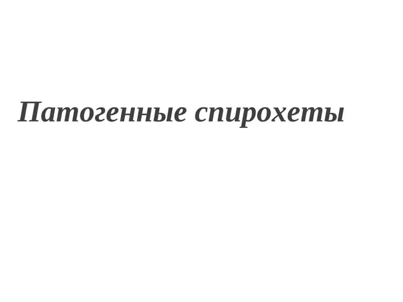 Патогенные спирохеты 1