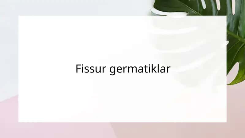 Fissur germatiklar 1