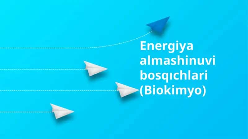 Energiya almashinuvi bosqıchlari 1