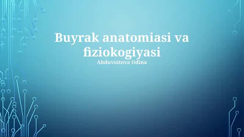 Buyrak anatomiyasi va fiziologiyasi 1