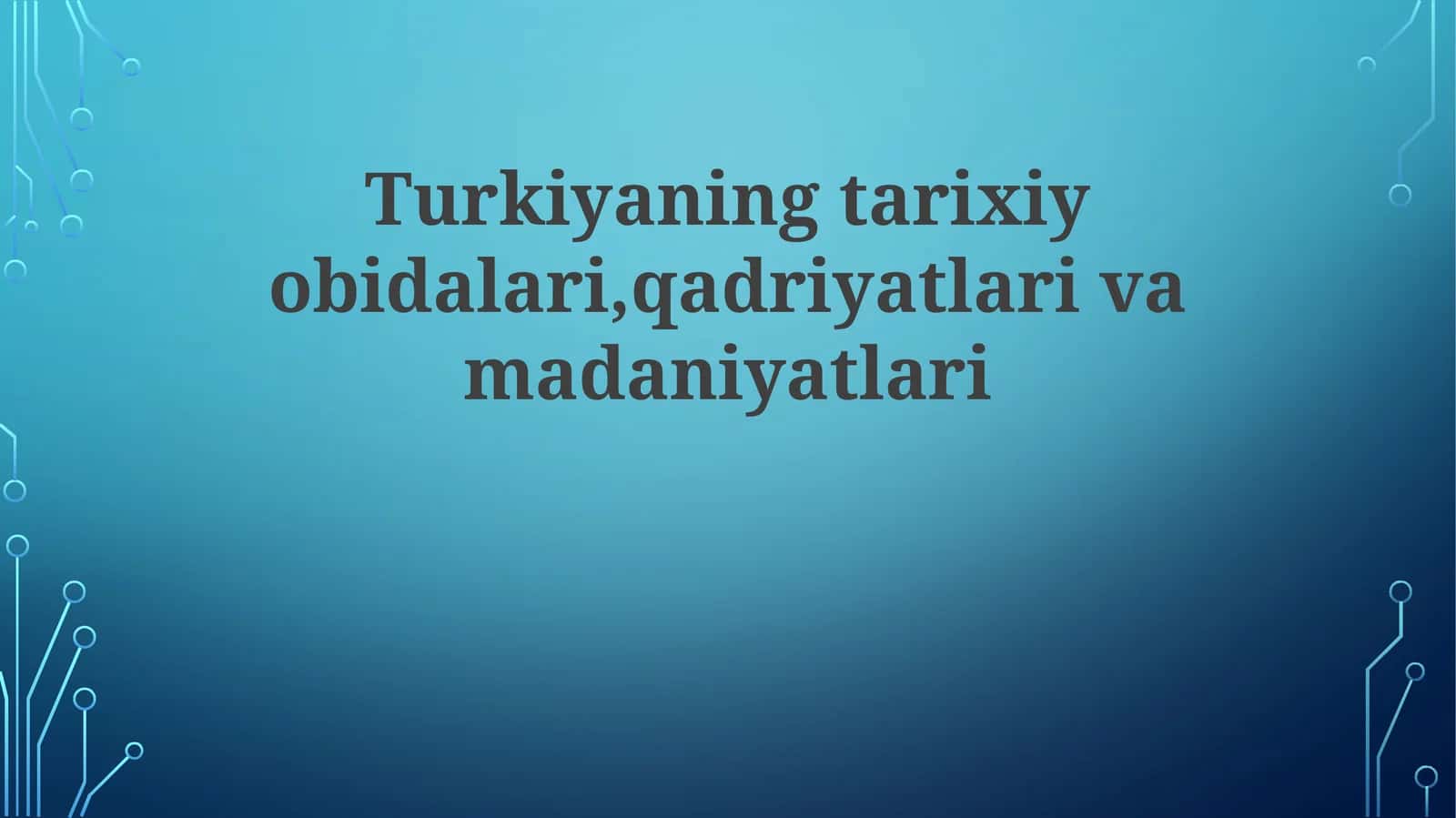 Turkiya Milliy Oshxona 1