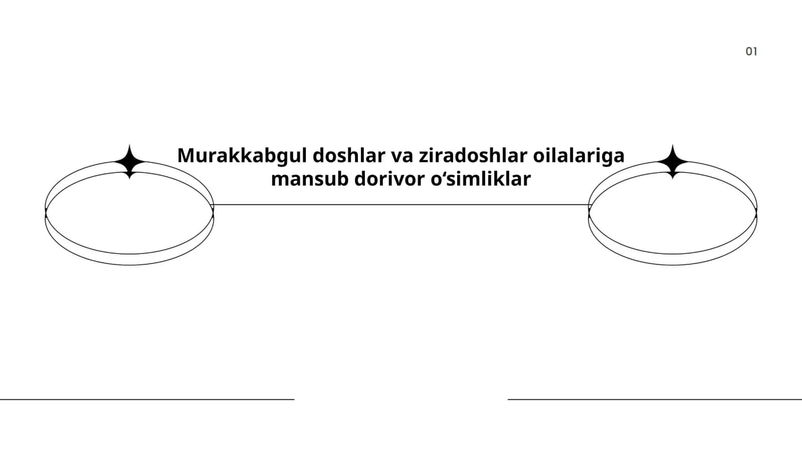 Murakkabgul doshlar va ziradoshlar oilalariga mansub dorivor o‘simliklar 1