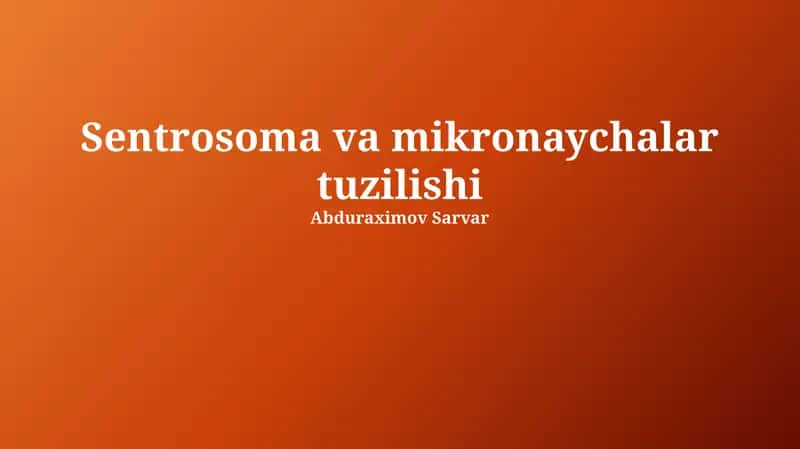 Sentrosoma va Mikronaychalar Tuzilishi 1