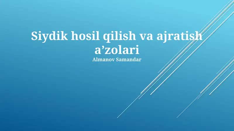 Buyraklar va Siydik Yo'llarining Tuzilishi va Funksiyasi 1