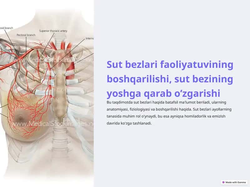 Sut bezlari faoliyatuvining boshqarilishi, sut bezining yoshga qarab o’zgarishi 1