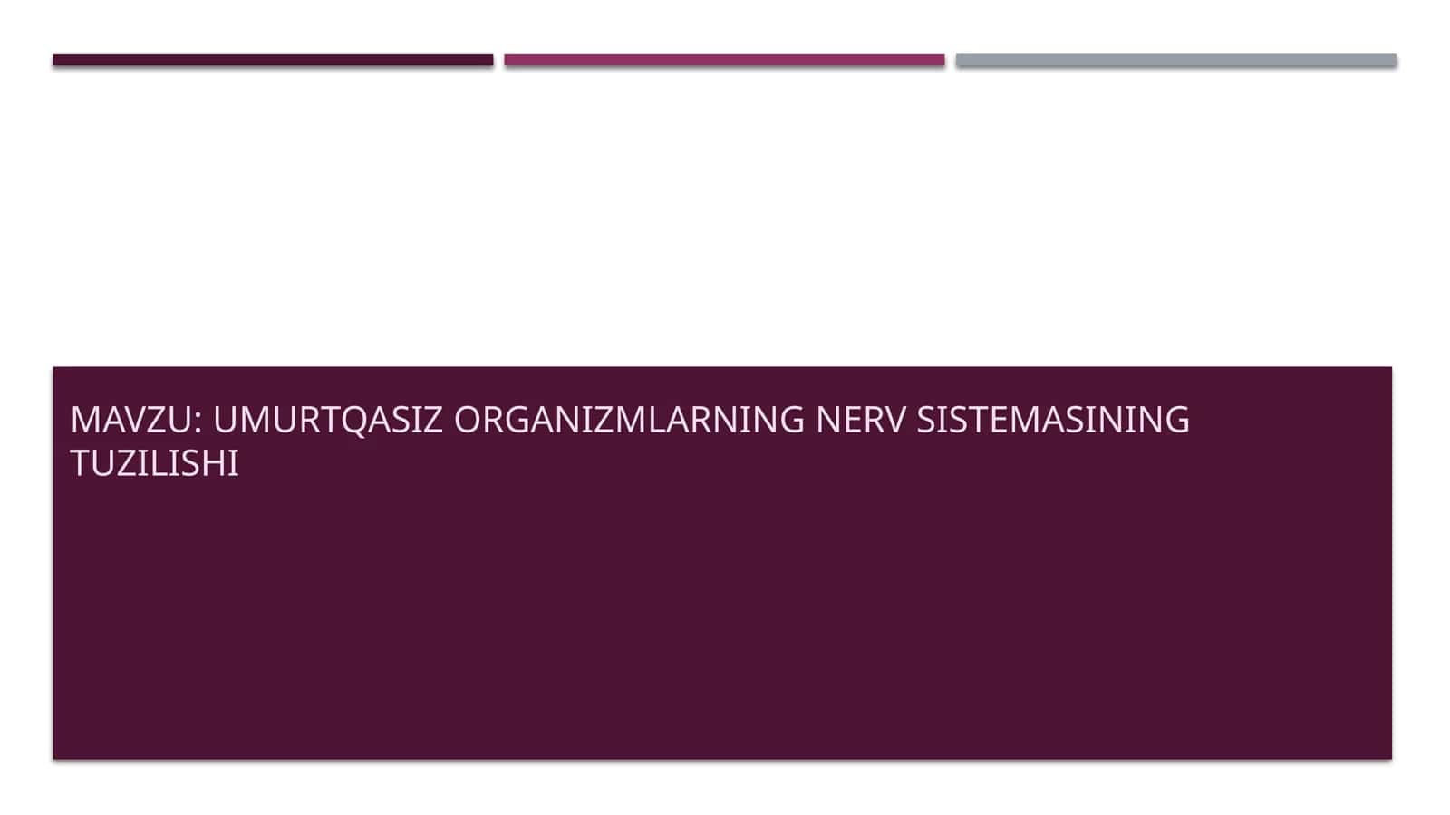 Umurtqasiz organizmning nerv sistemasining tuzilishi 1