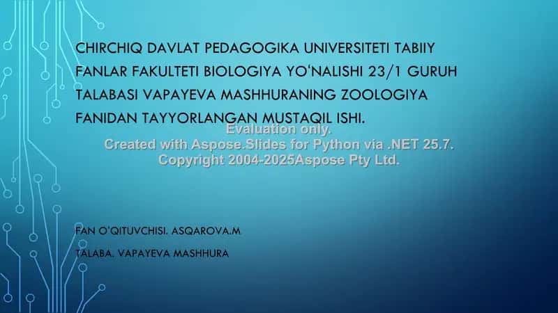 Chayonlar tuzilishi va hayot kechirishi 1