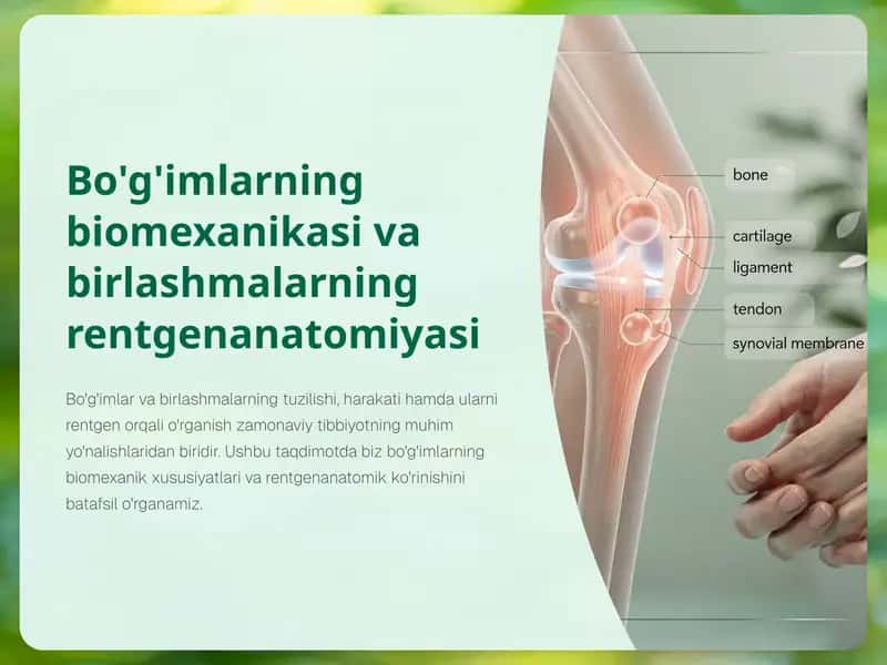 Bogimlarning-biomexanikasi-va-birlashmalarning-rentgenanatomiyasi 1