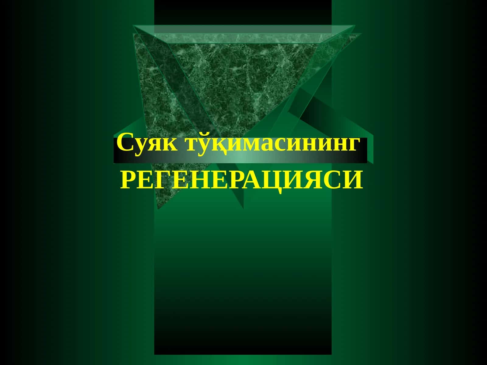 Суяк тўқимасининг РЕГЕНЕРАЦИЯСИ 1