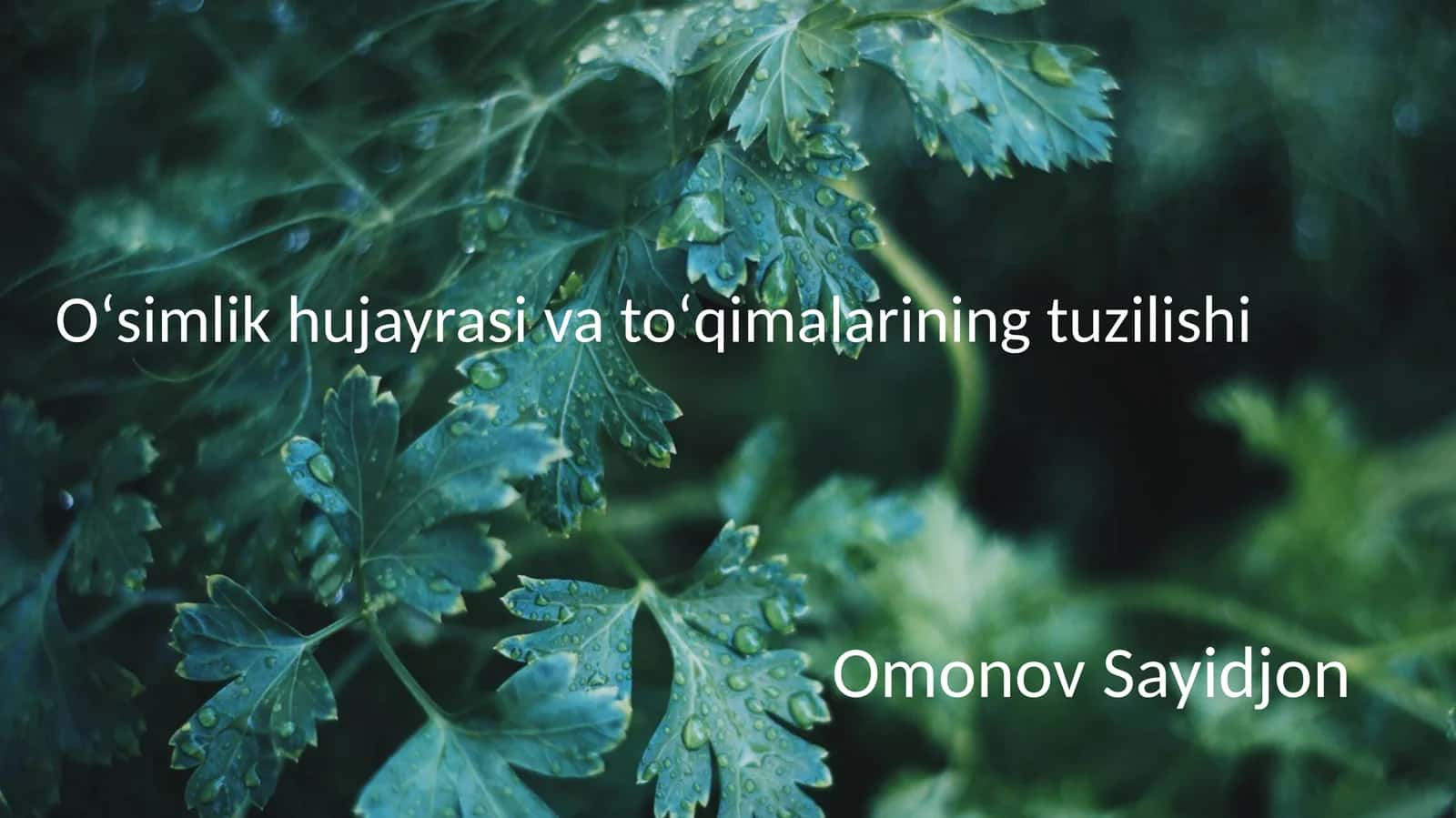 Oʻsimlik hujayrasi va toʻqimalarining tuzilishi 1