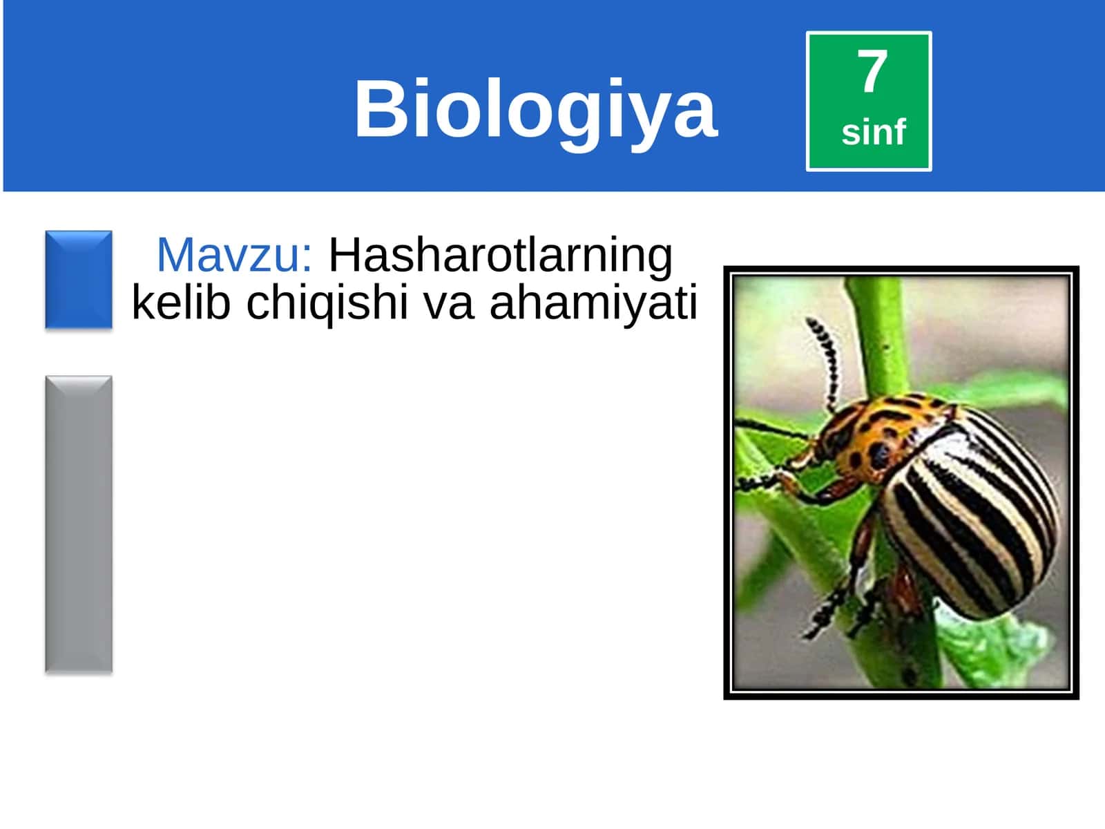 Hasharotlarning kelib chiqishi va ahamiyati 1