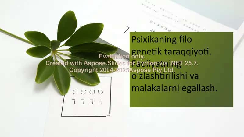 Psixikaning filo genetik taraqqiyoti 1