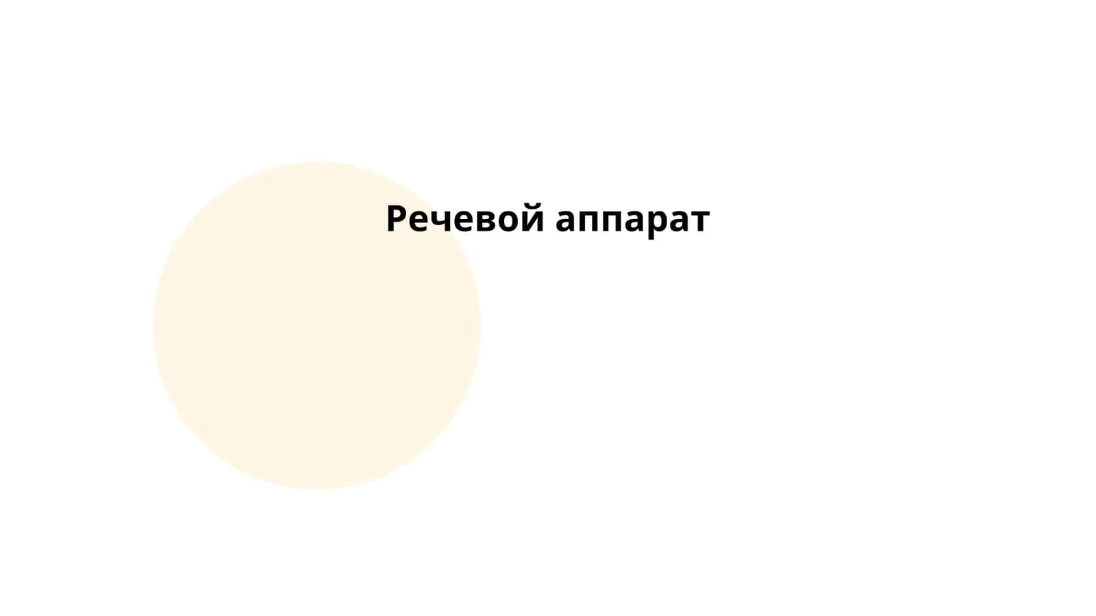 Речевой аппарат 1