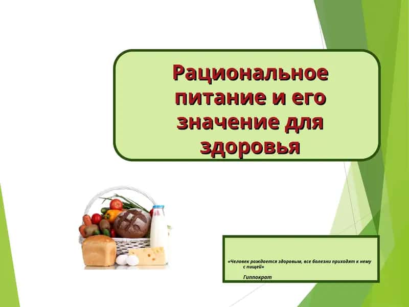 Рациональное питание и его значение для здоровья 1