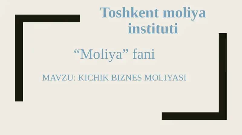 KICHIK BIZNES MOLIYASI 1