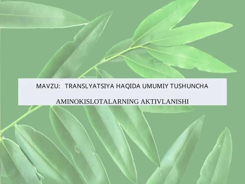 Translyatsiya Haqida Umumiy Tushuncha 1