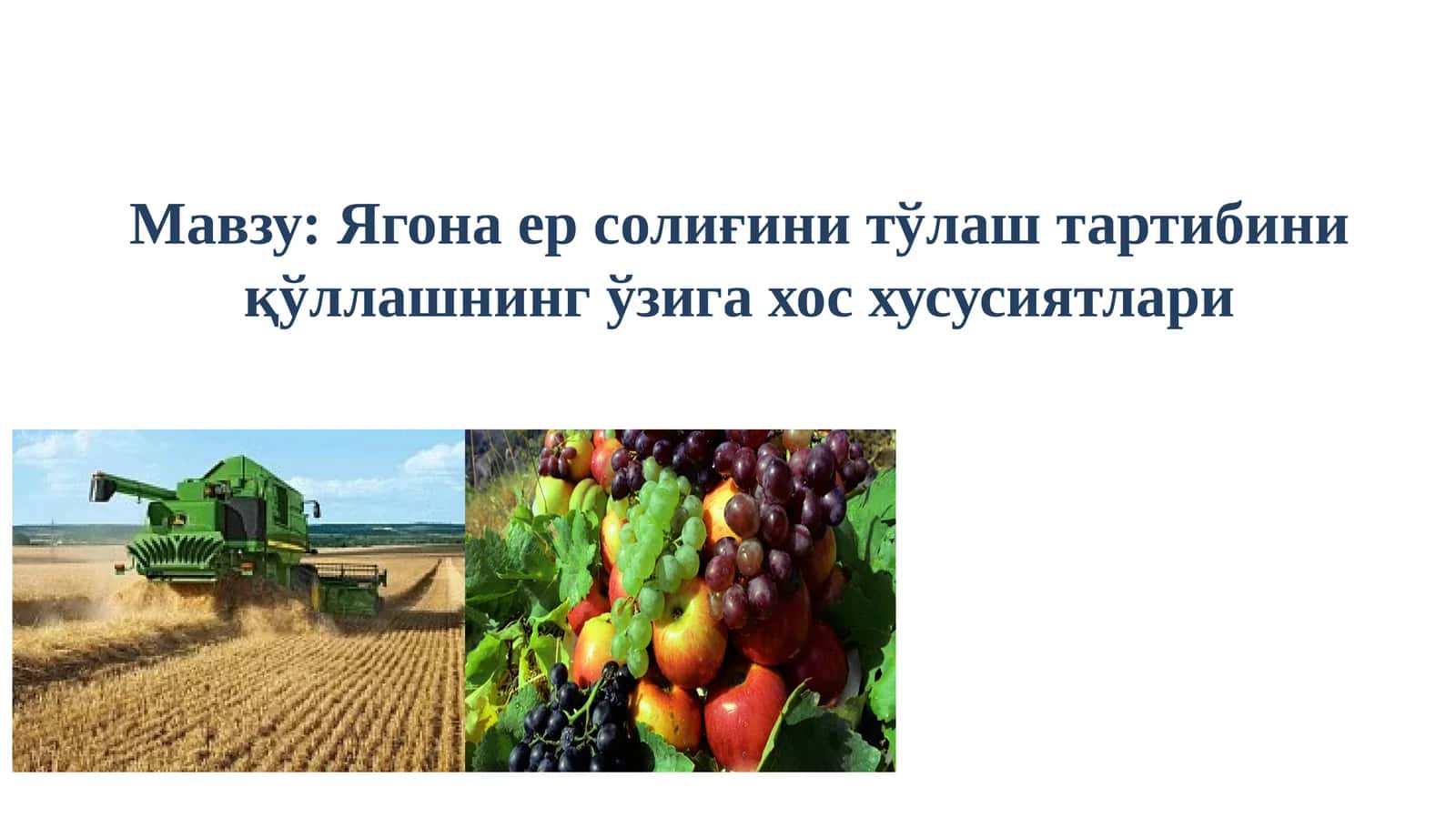 Ягона ер солиғини тўлаш тартибини қўллашнинг ўзига хос хусусиятлари 1