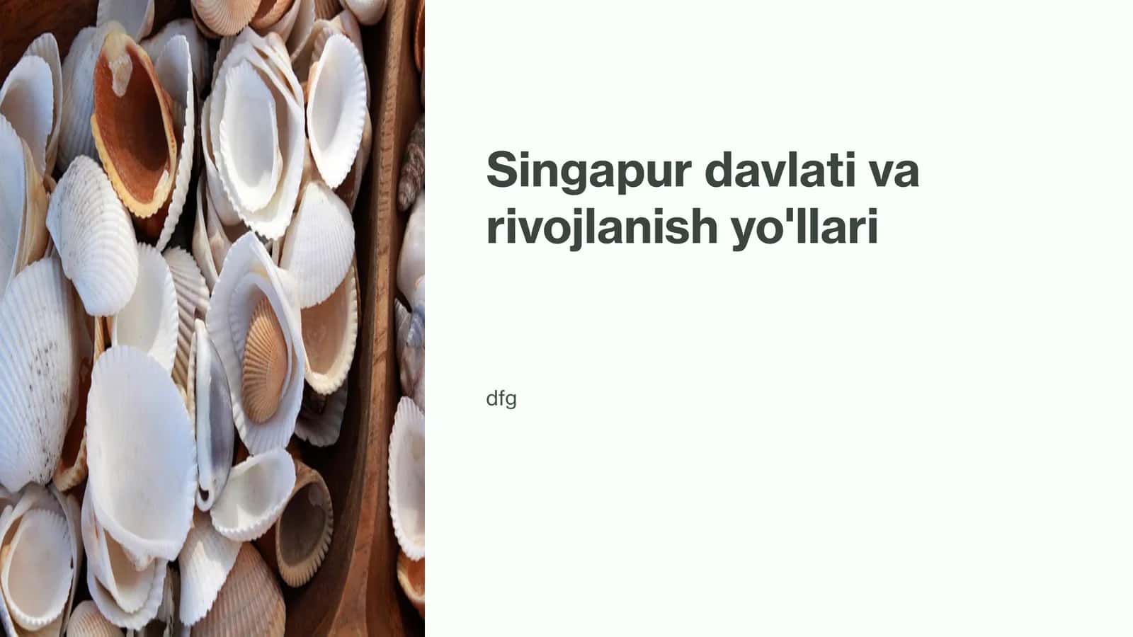 Singapur davlati va rivojlanish yo'llari 1