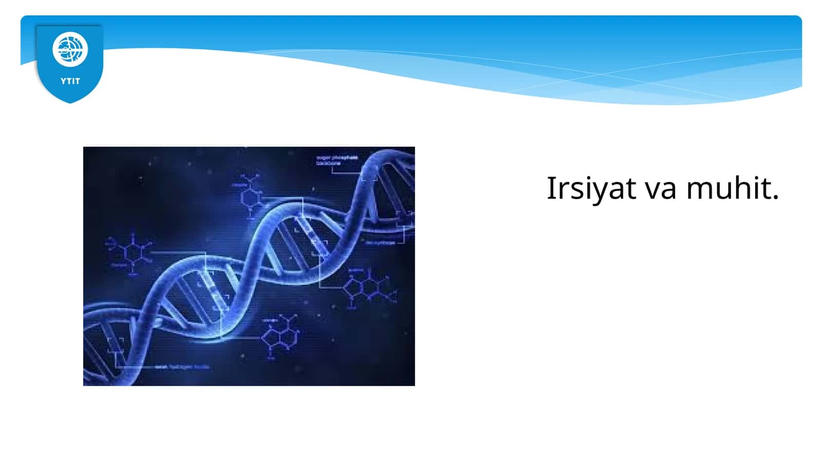 Irsiyatvamuhit 1