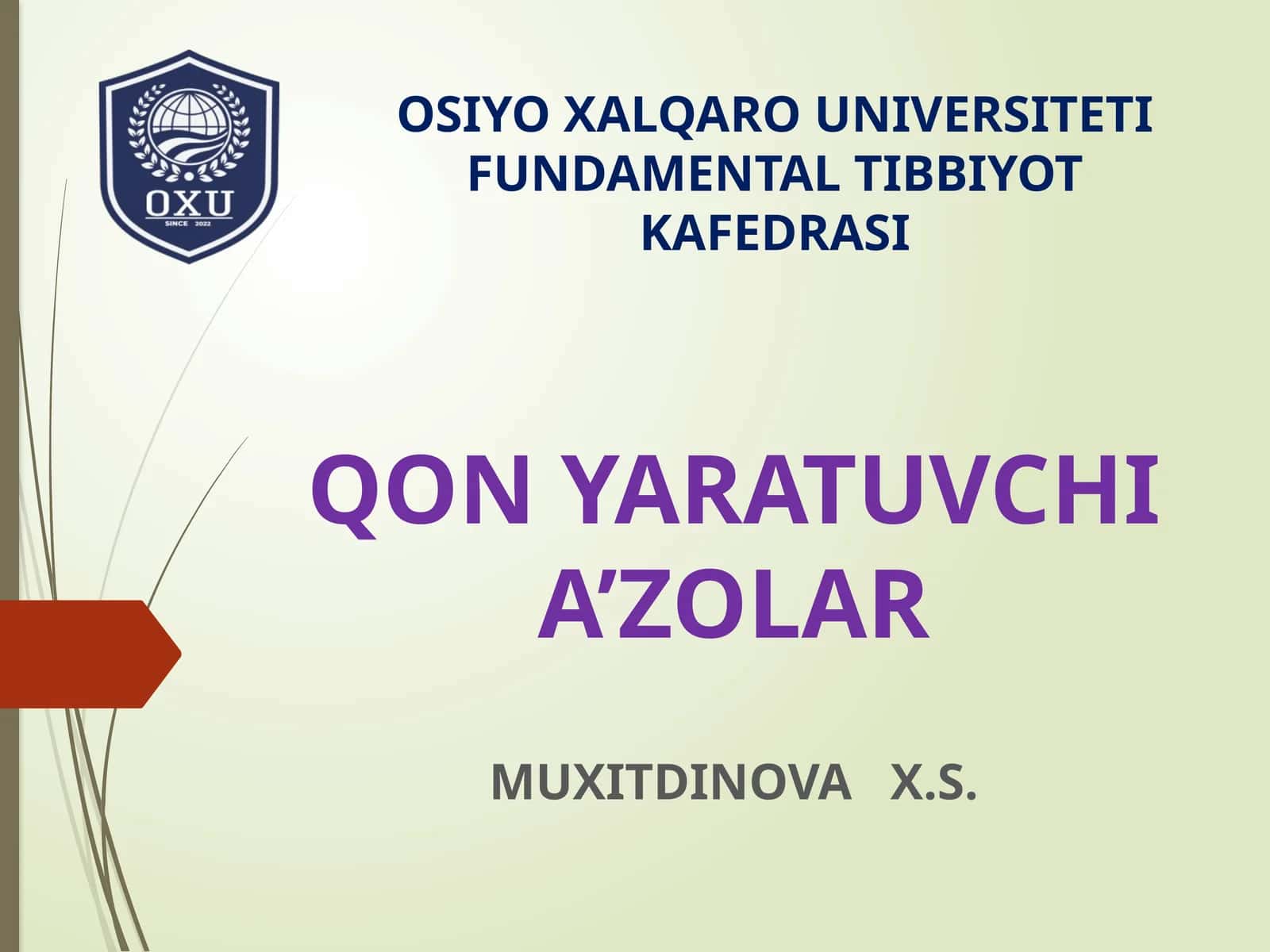 QON YARATUVCHI A’ZOLAR 1