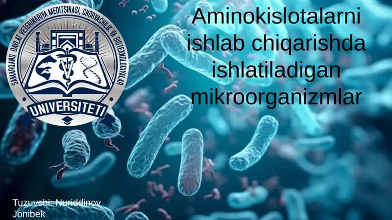Aminokislotalarni ishlab chiqarishda ishlatiladigan mikroorganizmlar 1