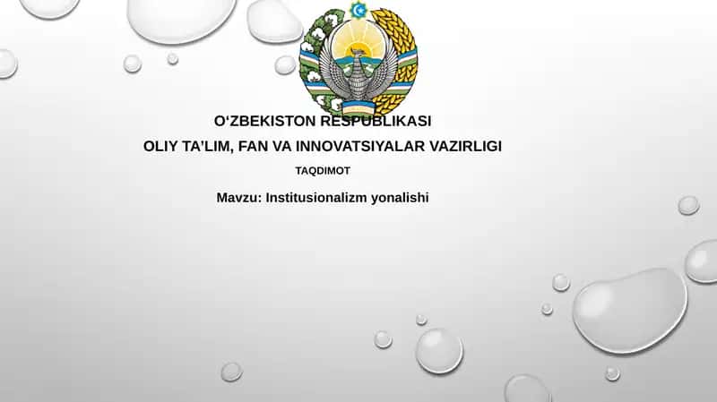 Institusionalizm 1