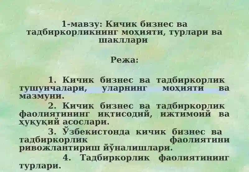 Кичик бизнес ва тадбиркорликнинг моҳияти, турлари ва шакллари