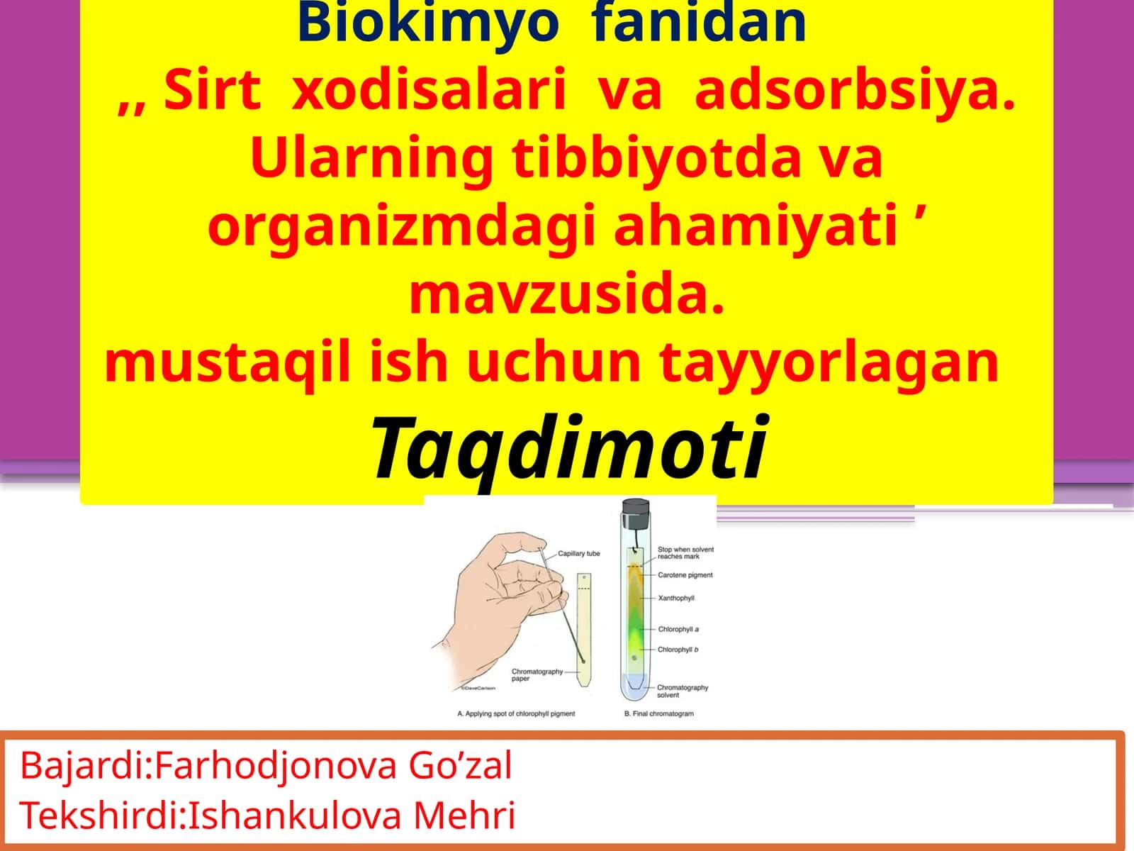 Biokimyo fanidan Sirtxodisalar va adsorbsiya, 25-2 guruh 1