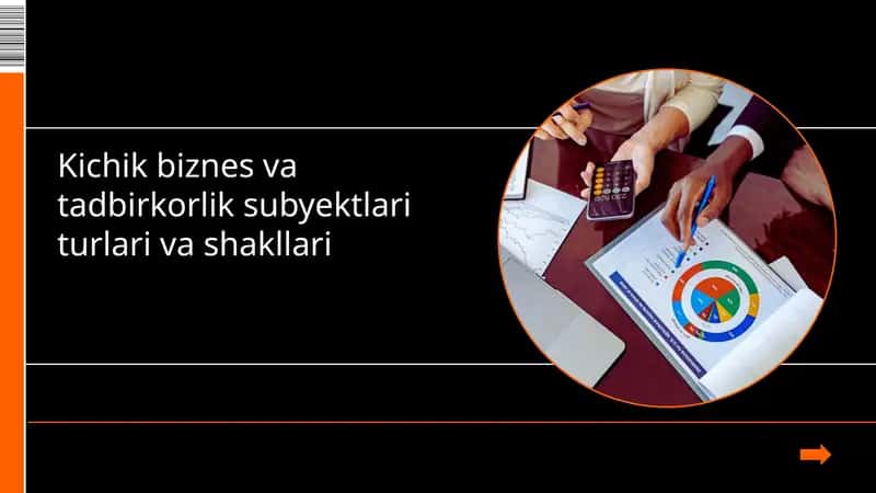 Kichik biznes va tadbirkorlik sub'ektlari 1
