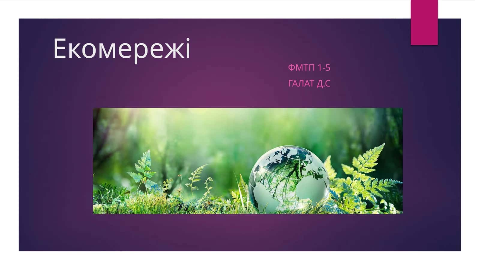Екомережі 1