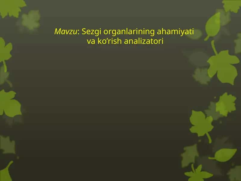 Sezgiorganlariningahamiyativako’rishanalizatori 1