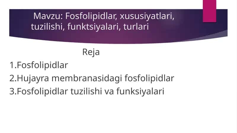 Fosfolipidlar, xususiyatlari, tuzilishi, funktsiyalari, turlari 1
