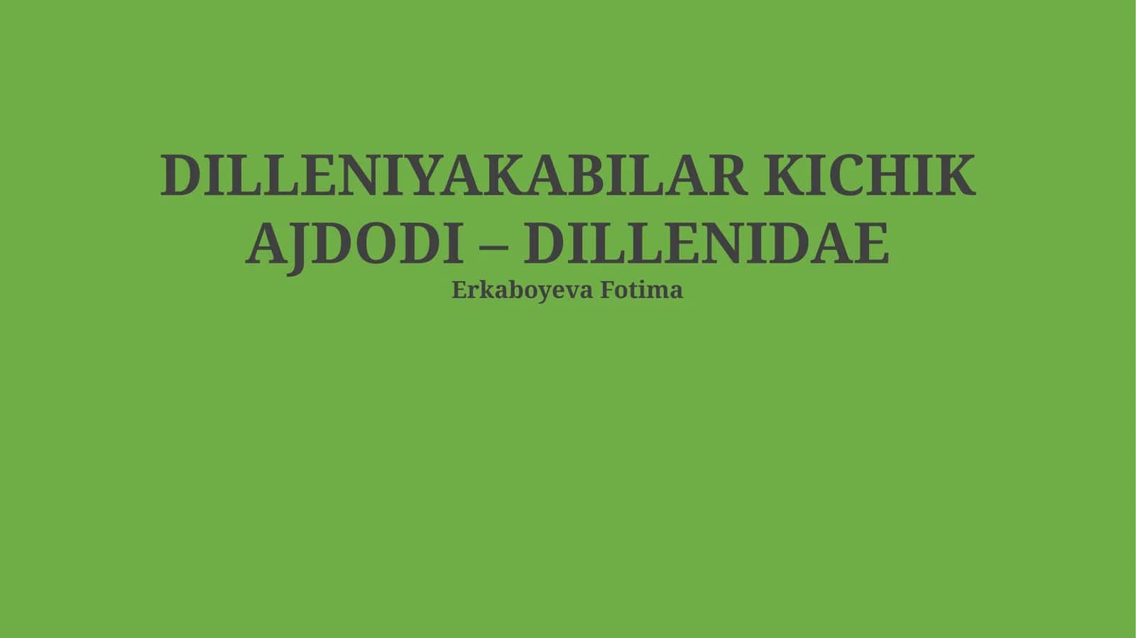 Dilleniyakabilar kichik ajdodining ta'rifi 1