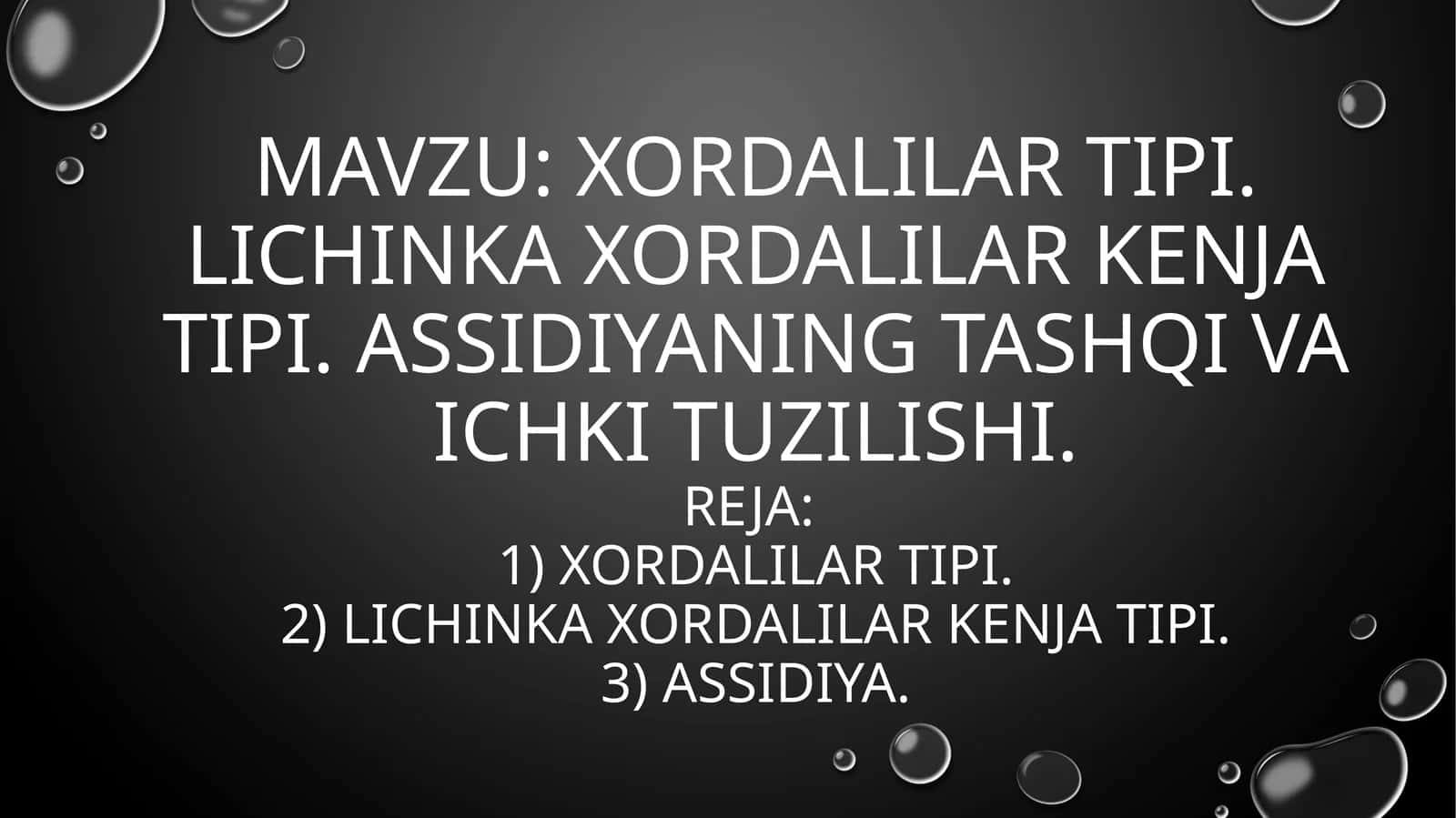 Xordalilar (Chordata) 1