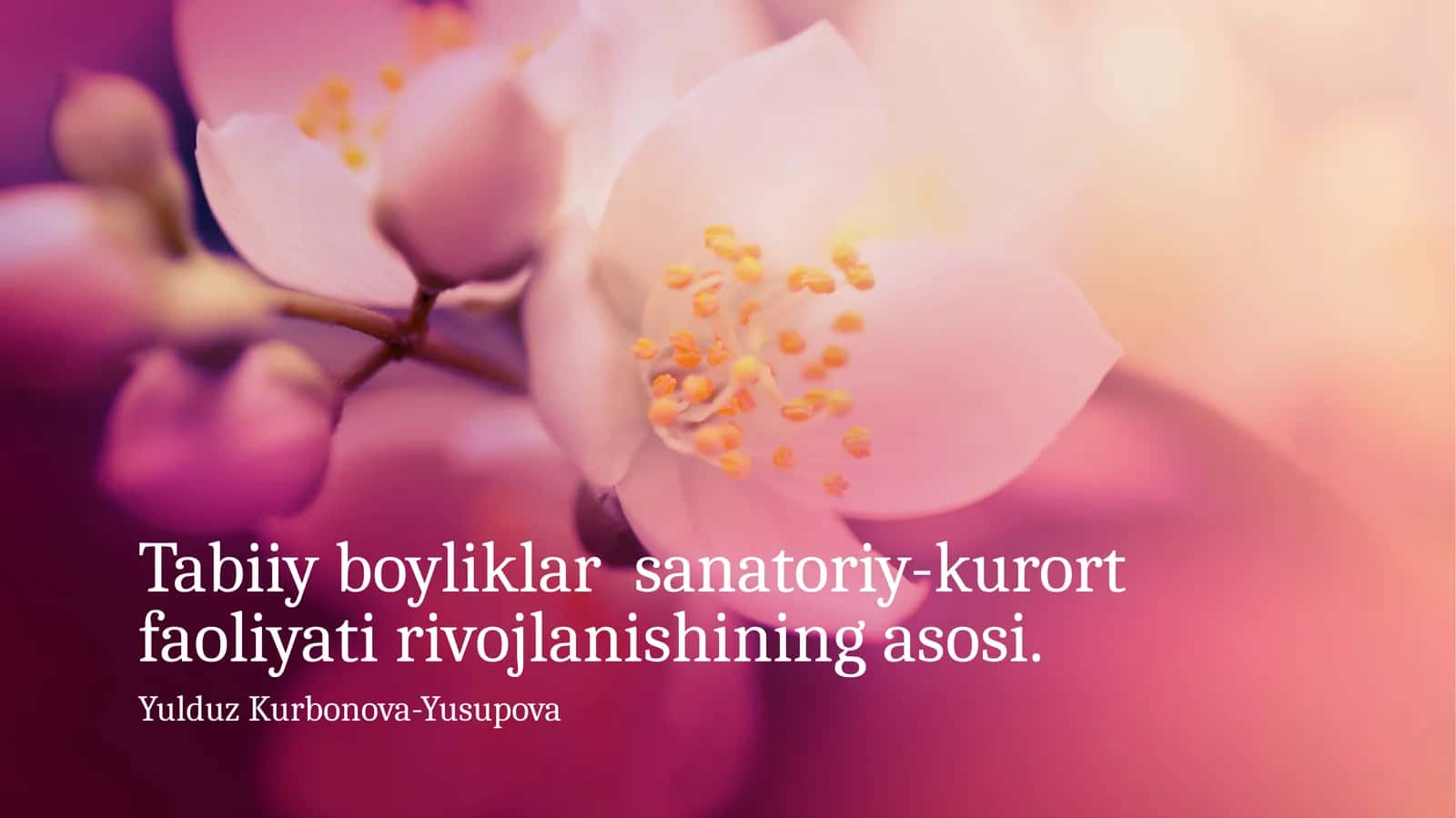 Tabiiy boyliklar sanatoriy-kurort faoliyati rivojlanishining asosi 1