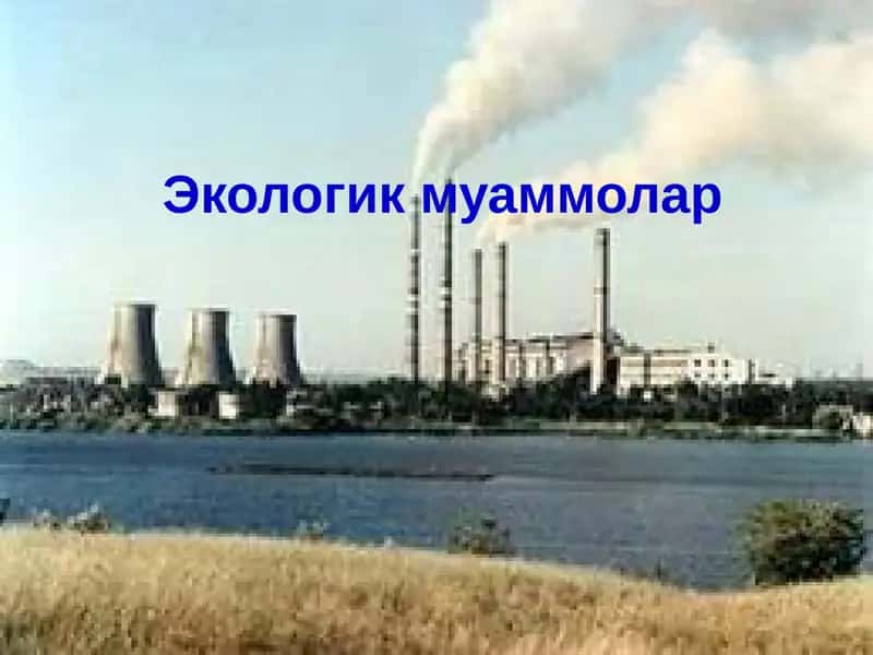 Экологик муаммолар 1
