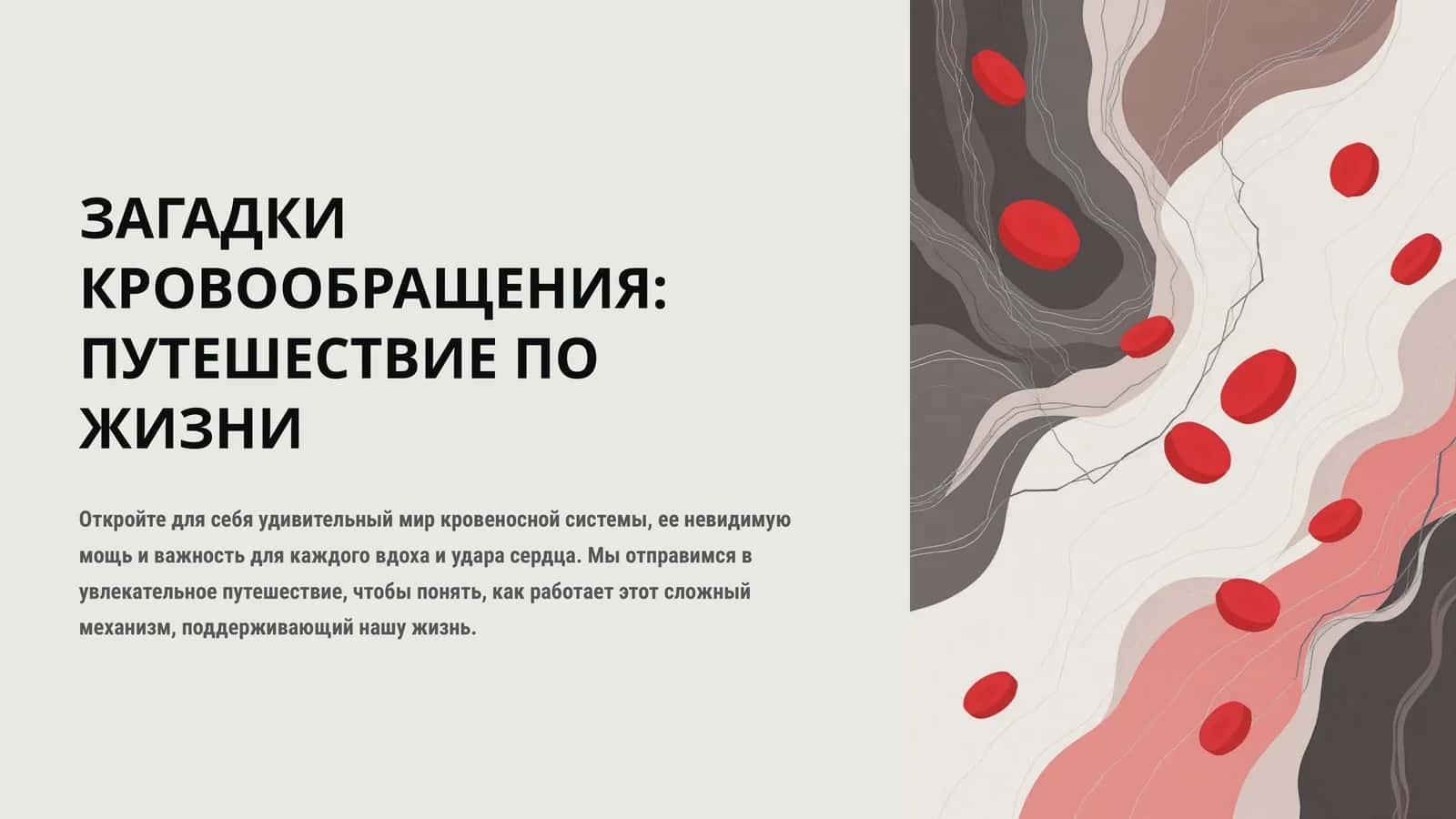 ЗАГАДКИ КРОВООБРАЩЕНИЯ: ПУТЕШЕСТВИЕ ПО ЖИЗНИ 1