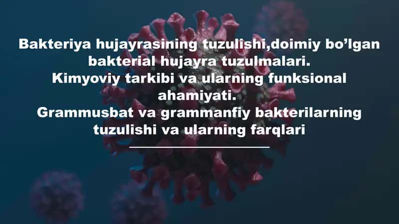 Bakteriya hujayrasining tuzulishi 1