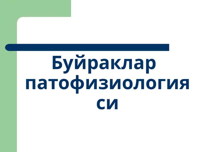 Буйраклар физиологияси 1