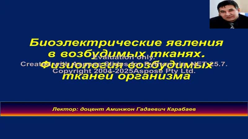 Биоэлектрические явления в возбудимых тканях. Физиология возбудимых тканей организма 1