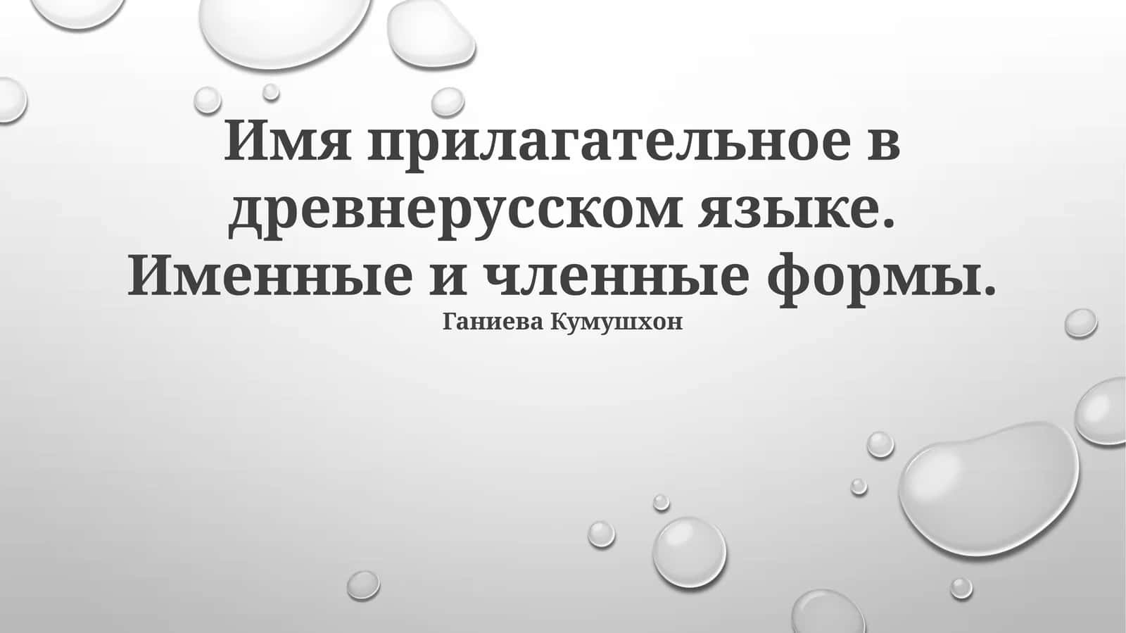 Имя прилагательное в древнерусском языке. Именные и членные формы 1