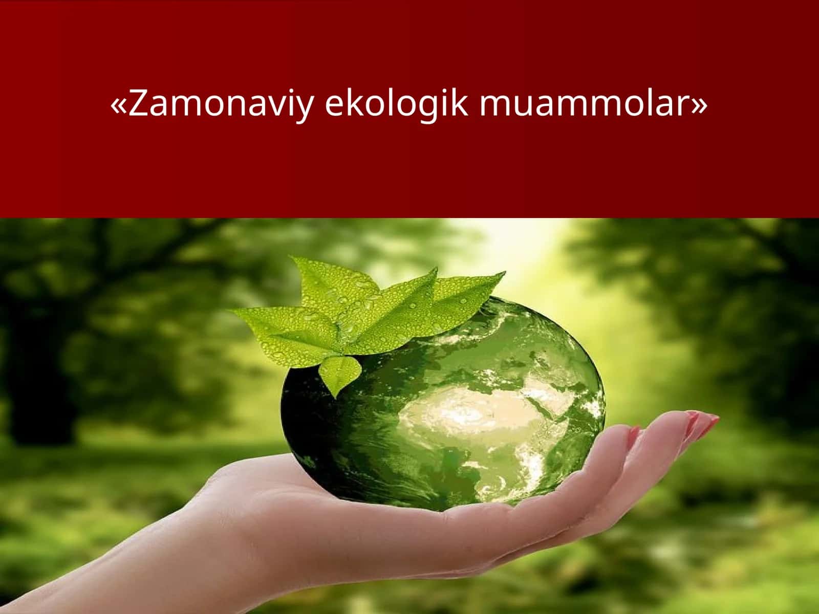 Zamonaviy ekologik muammolar 1