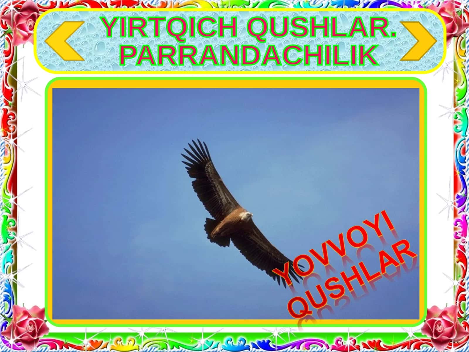 YIRTQICH QUSHLAR. PARRANDACHILIK 1