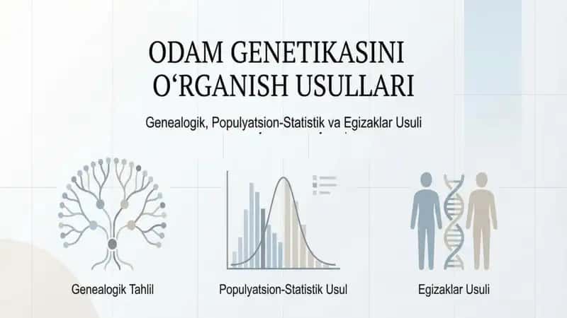 Odam genetikasini oʻrganish usullari genealogik populyatsion statistik va egizaklar usuli 1
