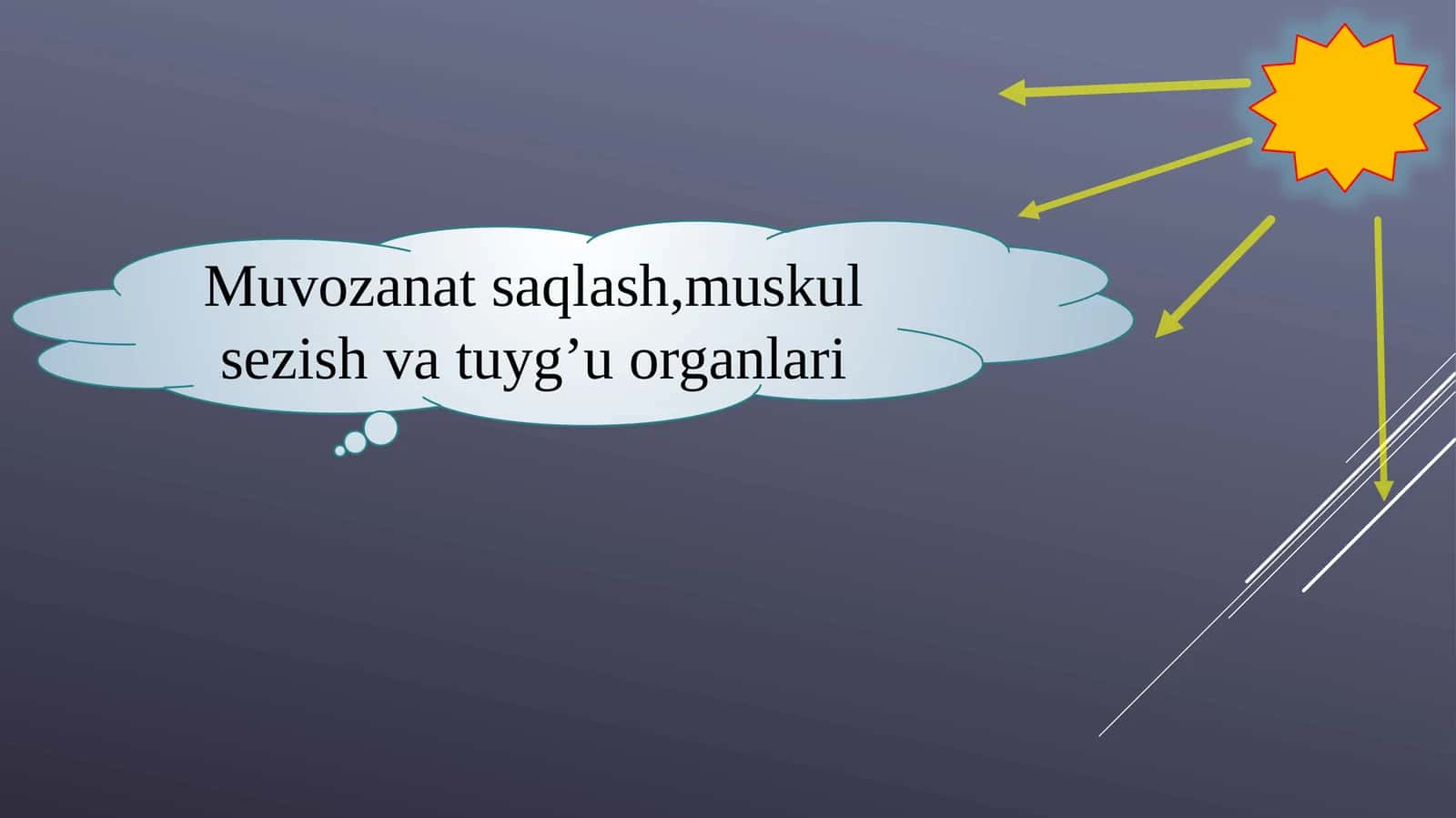 Eshitish organlarining tuzilishi, eshitish gigiyenasi 1