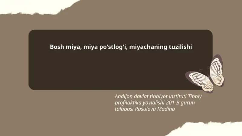 Bosh miya, miya po'stlog'i, miyachaning tuzilishi 1